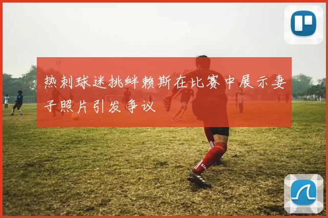 热刺球迷挑衅赖斯在比赛中展示妻子照片引发争议